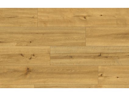 Classen Ceramin 62538 Pro Nature Soledad