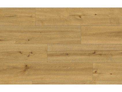 Classen Ceramin 62543 Pro Nature Caldas