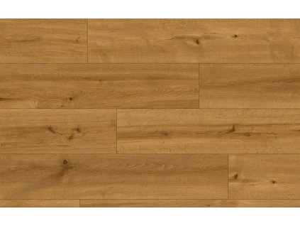 Classen Ceramin 62544 Pro Nature Andes