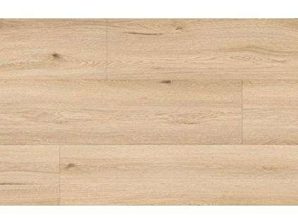 Amaron Cl 153 Dub Yankee