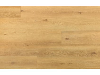 arbiton amaron superiore eir dub beatrice