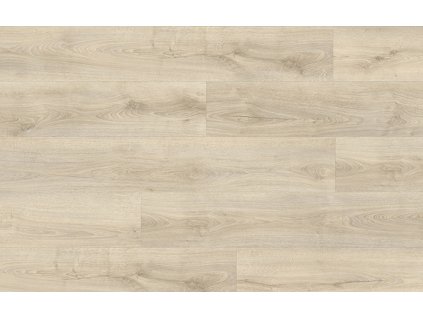 Divino Dub Kentucky 83273