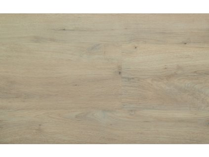 Acoustic click plus Dub Soho