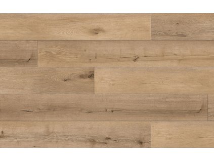 AREAFLOORS AUTHENTIC 505 PL