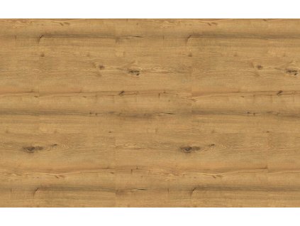 SPECTRA TITAN OAK 09W