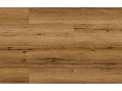 49773 Arteo Classen Dub Kruger WR