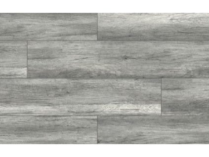 49729 Arteo Classen Dub Dakar WR