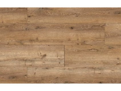 49841 Arteo Classen Dub Nakuru WR