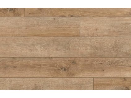 49840 Arteo Classen Dub Connemara