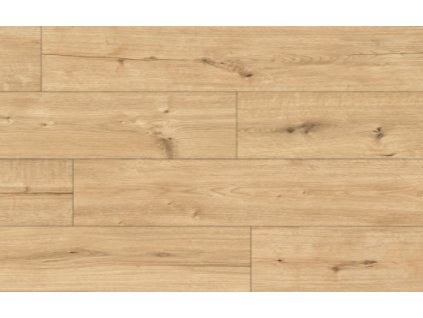 55092 Arteo Classen Dub Atakama WR