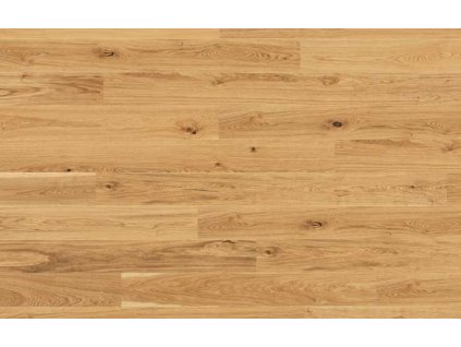 TARKETT PURE DUB RUSTIC PLANK XT 7879004