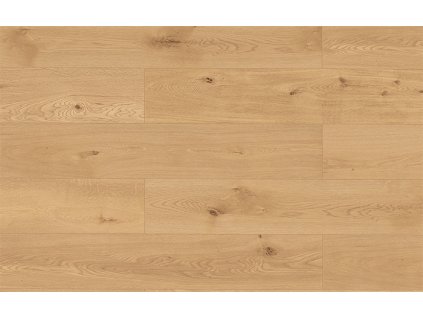 classen arteo ceramin dub garda 66937