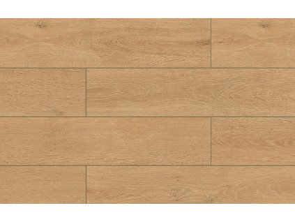 kastamonu wings lark fw010