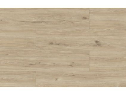 kastamonu wings heron fw005