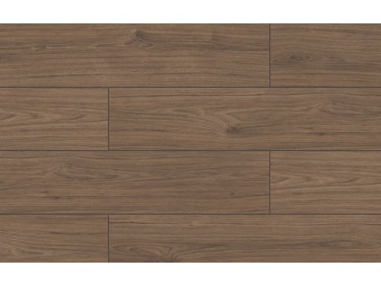 kastamonu wings raven fw004