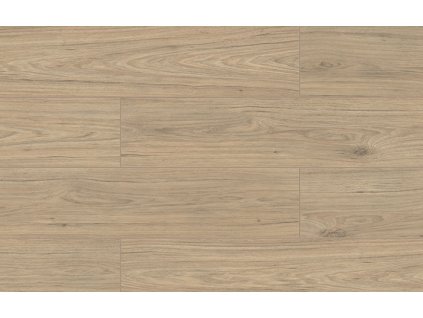 kastamonu wings hawk fw003