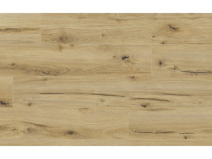 Classen Arteo 8M Dub Anargosa 62747