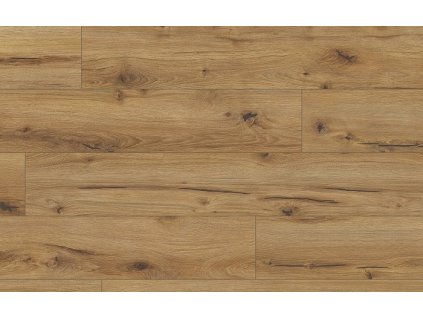 Classen Arteo 8M Dub Erg 62750