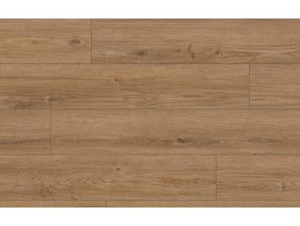 Classen Arteo 8M Dub Katam 62754