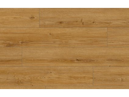 Classen Arteo 8M Dub Makan 62756