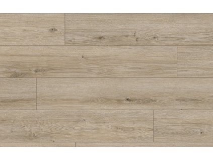 Classen Arteo 8M Dub Nefud 62758