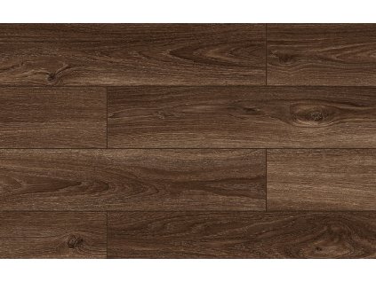 kastamonu robin FW009