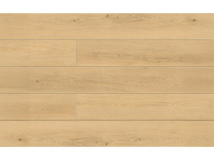 metamorphose dub euphoria