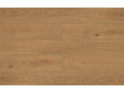 metamorphose dub royale