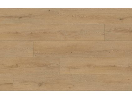 metamorphose dub prime