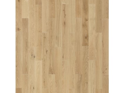 25211 artcot ber101 1