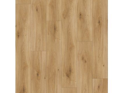 laminatova podlaha parador basic 200 dub 1594001 vrchny pohlad