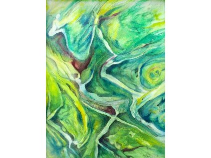 obrazy original umenie LESNÝ JAZYK 30x40, akryl kombinovaná technika, plátno,