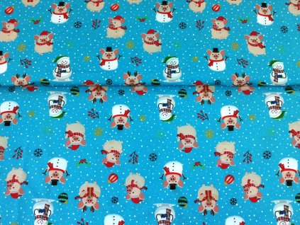 Vánoční prasátka