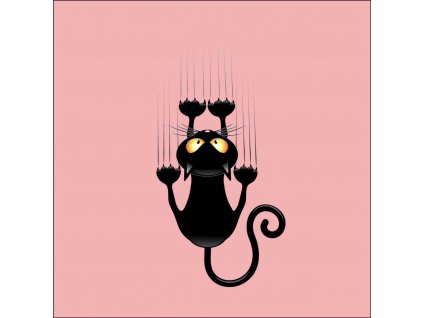 zadráplá kočička 20x20