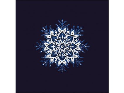 Vyšívaná vločka 20x20