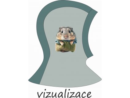 ušitá vizualizace OK