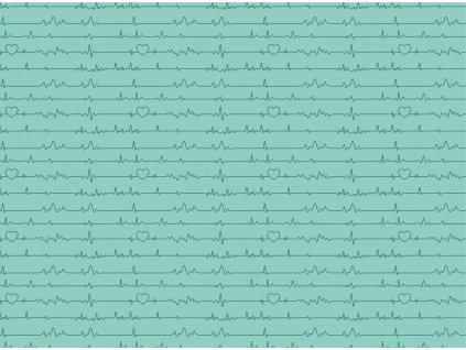 EKG mint 12x5,7