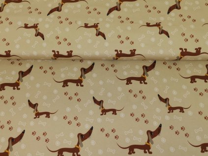 Jezevčíci a tlapičky