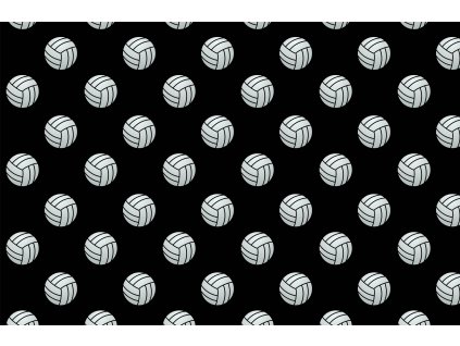 Volejbalové míče 12x12