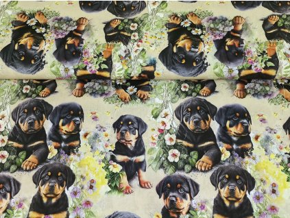 Bavlněné plátno Rottweiler štěňátka - digitální tisk