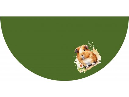 morčátko na zelené eshop