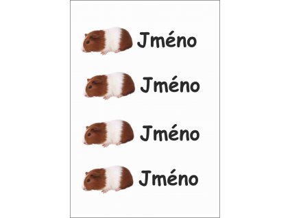 Morče