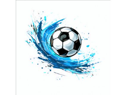 Fotbalový míč