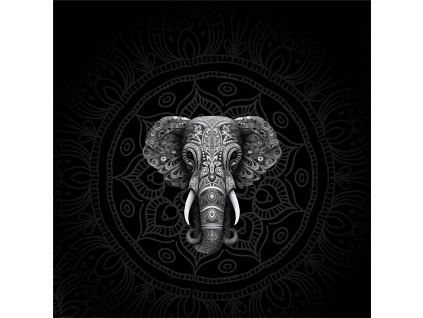 Slon a mandaly 50x50 jpeg