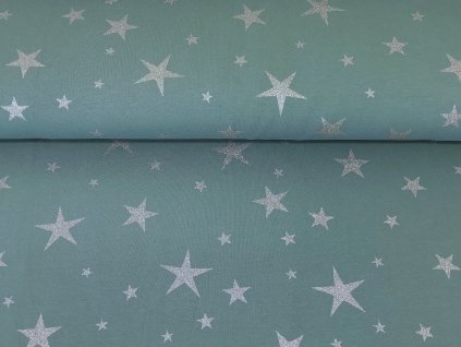 Teplákovina s elastanem Stříbrné vánoční hvězdy na eukalyptu