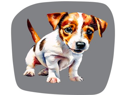 jack russel eshop