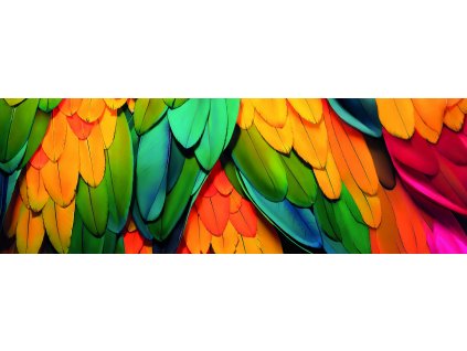 Barevné peříčka 150x50