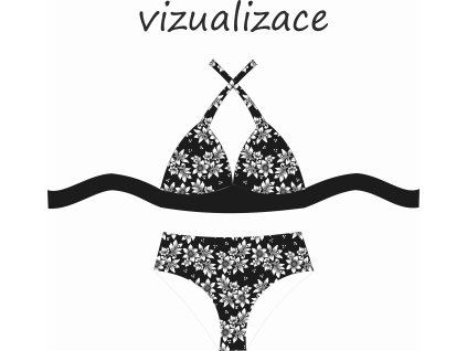 VIZUALIZACE