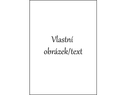 Bez názvu 1