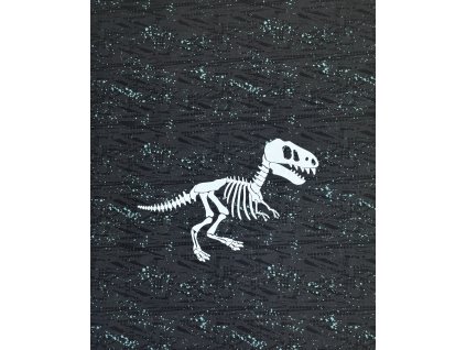 Reflexní panel - Kostra dinosaura